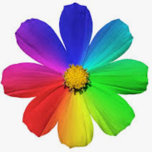 Meet your Posher, Reeh